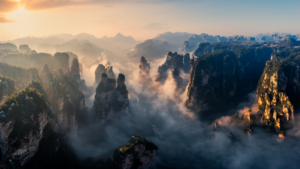 Central China Emerges as Global Biodiversity Hotspot 🌱🌍