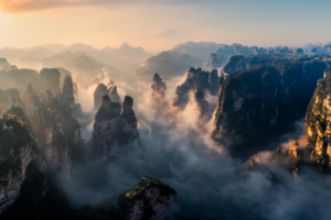 Central China Emerges as Global Biodiversity Hotspot 🌱🌍