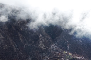 Niwu’s Peach Blossom Festival Blooms in Xizang’s ‘Little Jiangnan’ 🌸🏔️ video poster