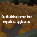 GXC94N3Q3R6XIL6MUDQC - 🌍NewspaperAmigo – Your Global News Buddy 🗞️ Middle East Conflict Hits South Africa's Fruit Exports 🚢🍑 video poster