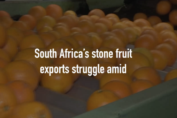 Middle East Conflict Hits South Africa's Fruit Exports 🚢🍑 video poster