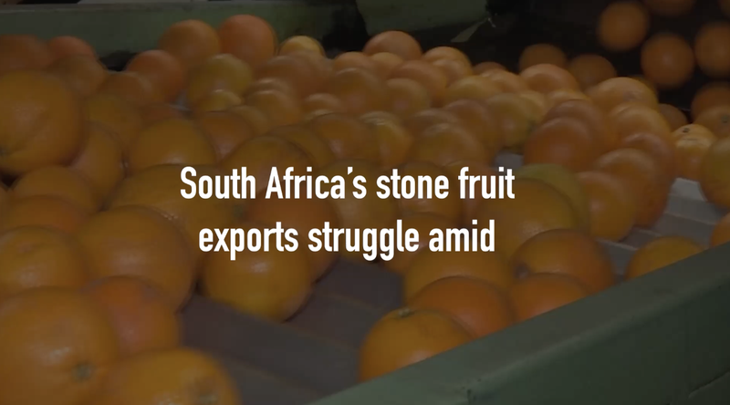 Middle East Conflict Hits South Africa's Fruit Exports 🚢🍑 video poster