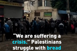 Gaza_Faces_Bread_Crisis_as_Palestinians_Endure_Food_Shortages video poster