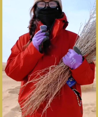 Youth Power: Chinese Volunteers Turn Desert into Green Oasis 🌱 video poster