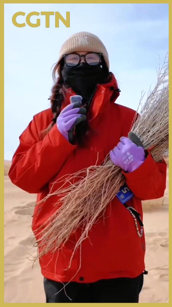 Youth Power: Chinese Volunteers Turn Desert into Green Oasis 🌱 video poster