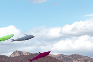 Hohhot Skies Alive with Giant Kites & Cultural Flair 🪁✨ video poster