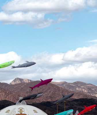 Hohhot Skies Alive with Giant Kites & Cultural Flair 🪁✨ video poster