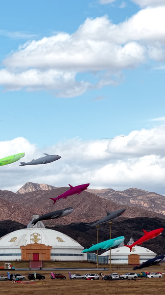 Hohhot Skies Alive with Giant Kites & Cultural Flair 🪁✨ video poster