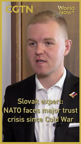 NATO Faces Cold War-Level Trust Crisis, Slovak Expert Warns 🌍⚡ video poster