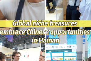 Hainan Expo 2026: Global Artisans Tap into China’s Market 🌏✨ video poster
