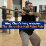 Wing Chun’s Secret Weapon: The Six-and-a-Half Point Pole 🥋✨ video poster
