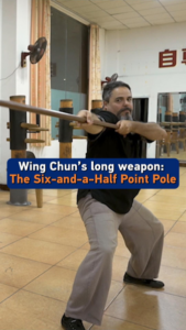 Wing Chun’s Secret Weapon: The Six-and-a-Half Point Pole 🥋✨ video poster