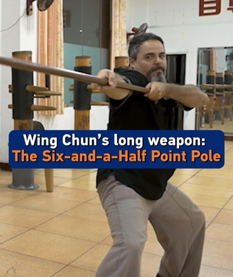 Wing Chun’s Secret Weapon: The Six-and-a-Half Point Pole 🥋✨ video poster
