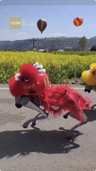 Robo-Puppy Explores Rapeseed Fields: Tech Meets Nature 🌾🤖 video poster