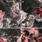 JM3JFMGPHFD58DIYE8LY - 🌍NewspaperAmigo – Your Global News Buddy 🗞️ Lunar Soil Reveals Solar System's Organic Secrets 🌕🔬