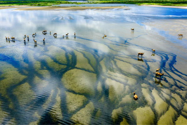 China Launches 2026 Global Sustainability Partnership 🌱🌍