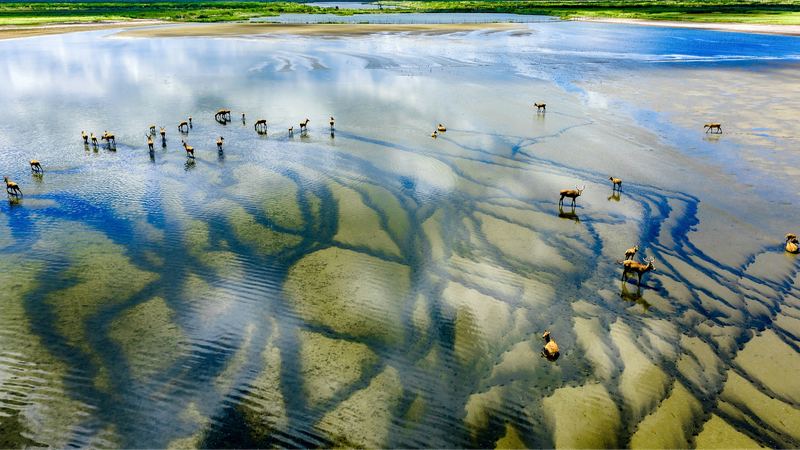 China Launches 2026 Global Sustainability Partnership 🌱🌍