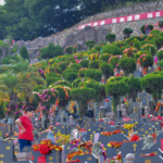 China Honors Fallen Heroes in Qingming Tributes 🌸🕊️