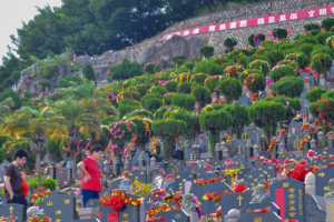 China Honors Fallen Heroes in Qingming Tributes 🌸🕊️