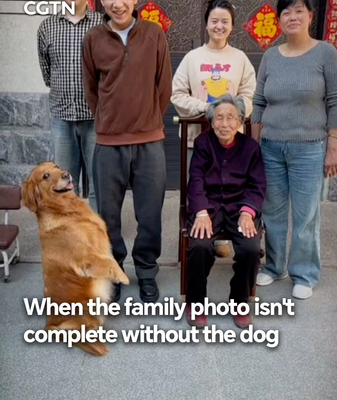 Dog Steals Spotlight in Viral Family Photo Moment 🐾📸 video poster