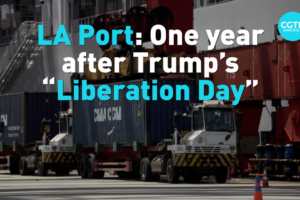 LA Port Trade Boom Fades Post-Tariff Rush 🌊📉 video poster