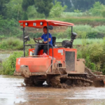 Chongqing Farmers Boost Rice Yields with High-Tech Double Cropping 🌾🚜