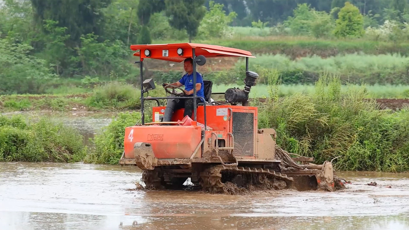 Chongqing Farmers Boost Rice Yields with High-Tech Double Cropping 🌾🚜