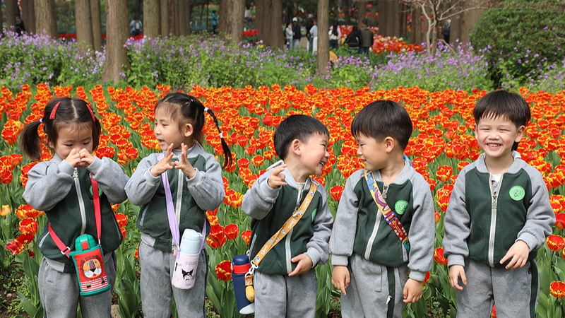 NPQBXTCAGPPBPB0RJSH6 - 🌍NewspaperAmigo – Your Global News Buddy 🗞️ China's Spring Break Boom: Learning Meets Adventure 🌸✈️