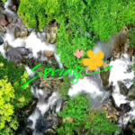 🌿 Breathe Easy: Hainan's Baihua Ridge Calls for Spring 2026 Adventures! video poster