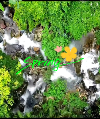 🌿 Breathe Easy: Hainan's Baihua Ridge Calls for Spring 2026 Adventures! video poster