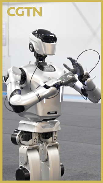 China’s Robot Revolution: One Humanoid Every 30 Minutes! 🤖⚡ video poster