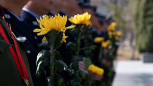 Qingming_Festival_2026__Honoring_Heroes_in_Xinjiang_s_Spring video poster