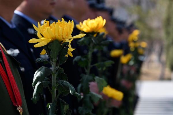Qingming_Festival_2026__Honoring_Heroes_in_Xinjiang_s_Spring video poster