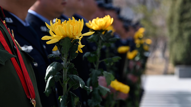 Qingming_Festival_2026__Honoring_Heroes_in_Xinjiang_s_Spring_poster - 🌍NewspaperAmigo – Your Global News Buddy 🗞️ Qingming_Festival_2026__Honoring_Heroes_in_Xinjiang_s_Spring video poster