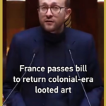 Will France’s New Artifact Law Bring Home China’s Lost Treasures? 🏛️🇨🇳 video poster