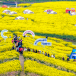 China's Spring Travel Surge: Flights & Bookings Soar 🌸✈️