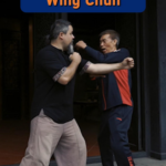 Wing Chun: The Art of Smart Combat Takes 2026 by Storm 🌪️🥋 video poster