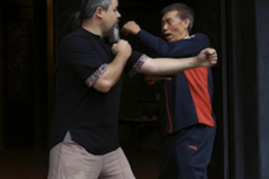 Wing Chun: The Art of Smart Combat Takes 2026 by Storm 🌪️🥋 video poster