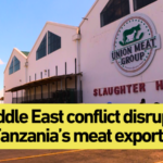 Tanzania Pivots Meat Exports Amid Middle East Crisis 🚚🌍 video poster
