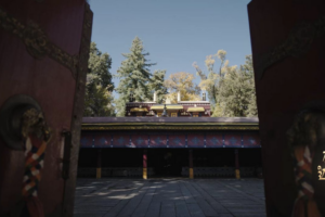 Norbulingka: Xizang’s Timeless Treasure Garden 🌿🏯
