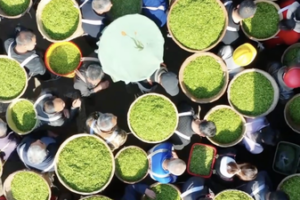 Spring in a Cup: 2026’s Hottest Food Trend Blooms 🌸🍵 video poster