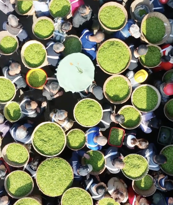 Spring in a Cup: 2026’s Hottest Food Trend Blooms 🌸🍵 video poster