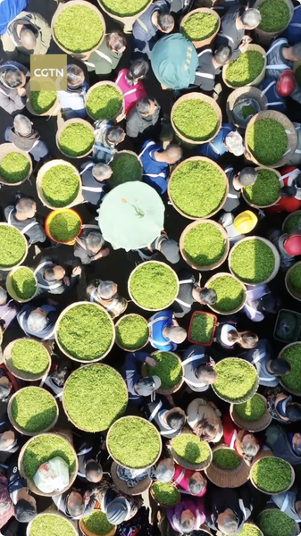 Spring in a Cup: 2026’s Hottest Food Trend Blooms 🌸🍵 video poster