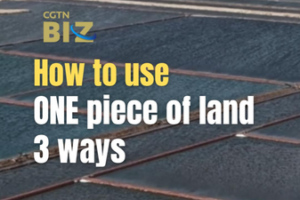 China’s Triple-Threat Land Use: Solar, Shrimp & Salt 🌞🦐🧂 video poster