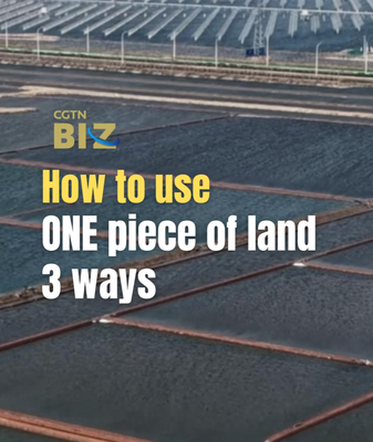China’s Triple-Threat Land Use: Solar, Shrimp & Salt 🌞🦐🧂 video poster