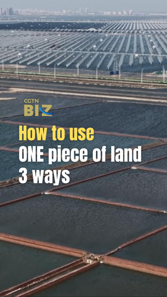 China’s Triple-Threat Land Use: Solar, Shrimp & Salt 🌞🦐🧂 video poster