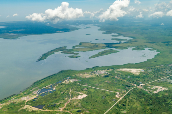 China-Africa Green Partnership Revives Lake Victoria 🌱💧