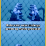 🤖🌊 Underwater Robots Dive Into Marine Protection in Greater Bay Area Challenge video poster