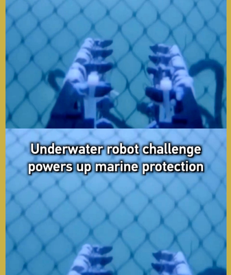 🤖🌊 Underwater Robots Dive Into Marine Protection in Greater Bay Area Challenge video poster