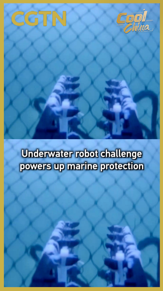 🤖🌊 Underwater Robots Dive Into Marine Protection in Greater Bay Area Challenge video poster